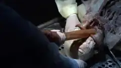 Штамм 1 сезон 4 серия